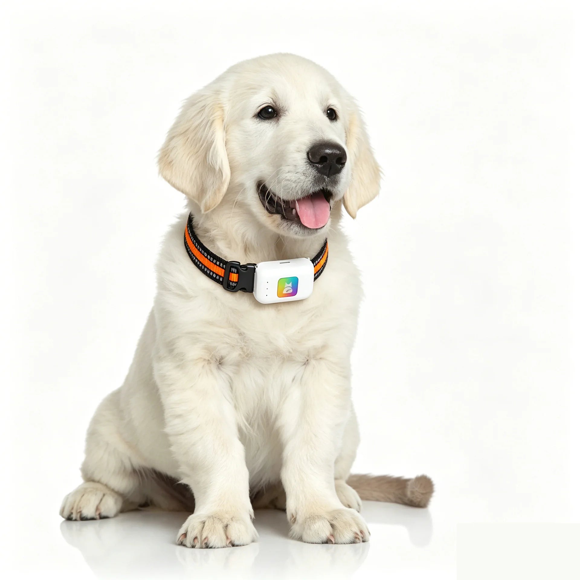 Waterproof 4G GPS Pet Collar Locator Real-Time Positioning Anti-Lost Tracking Cat Dog Health Monitoring Rest Time Lithium